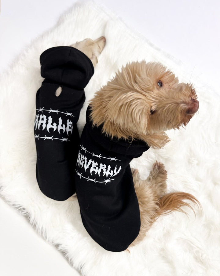 doxie hoodie | midnight - bean goods