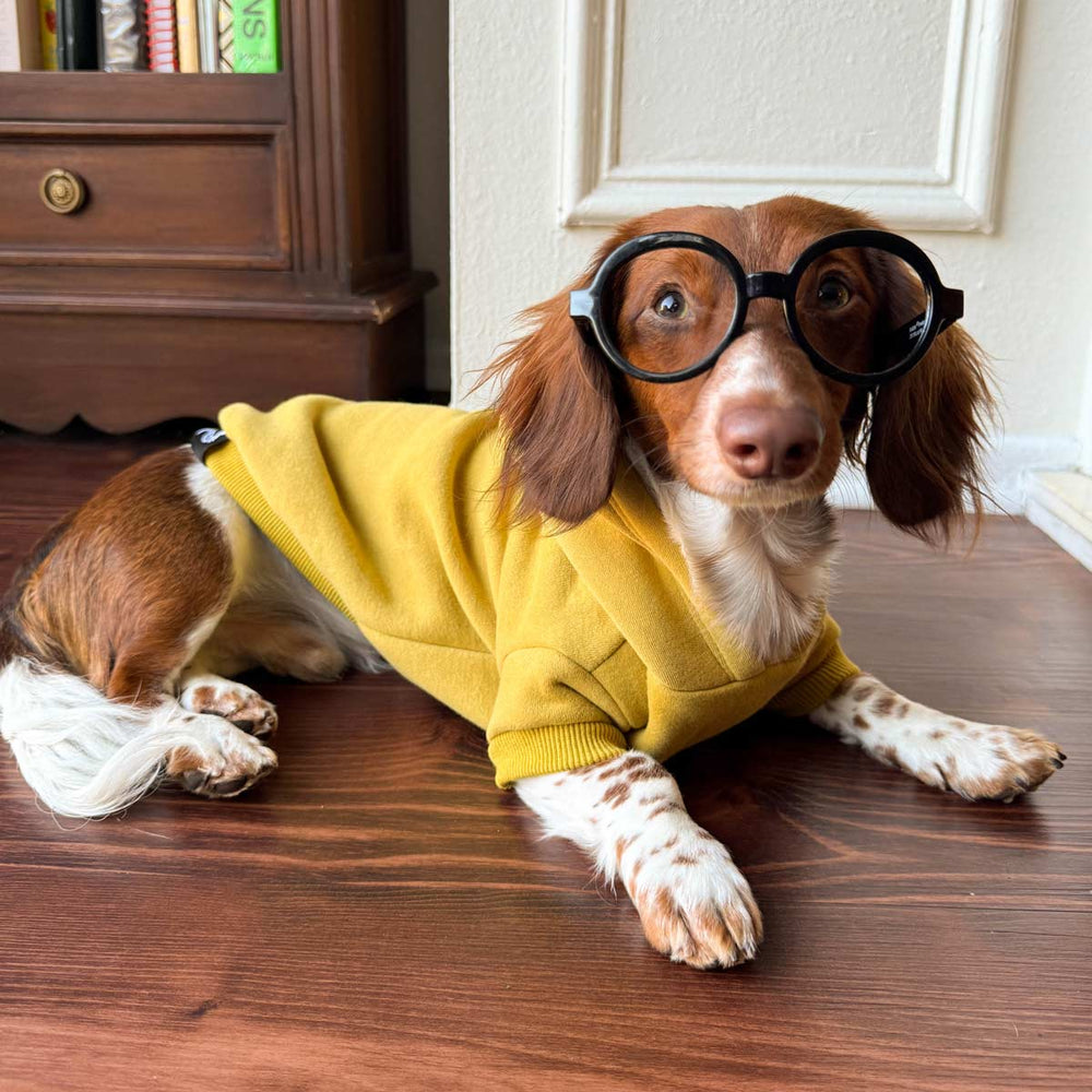 doxie hoodie | mustard - bean goods