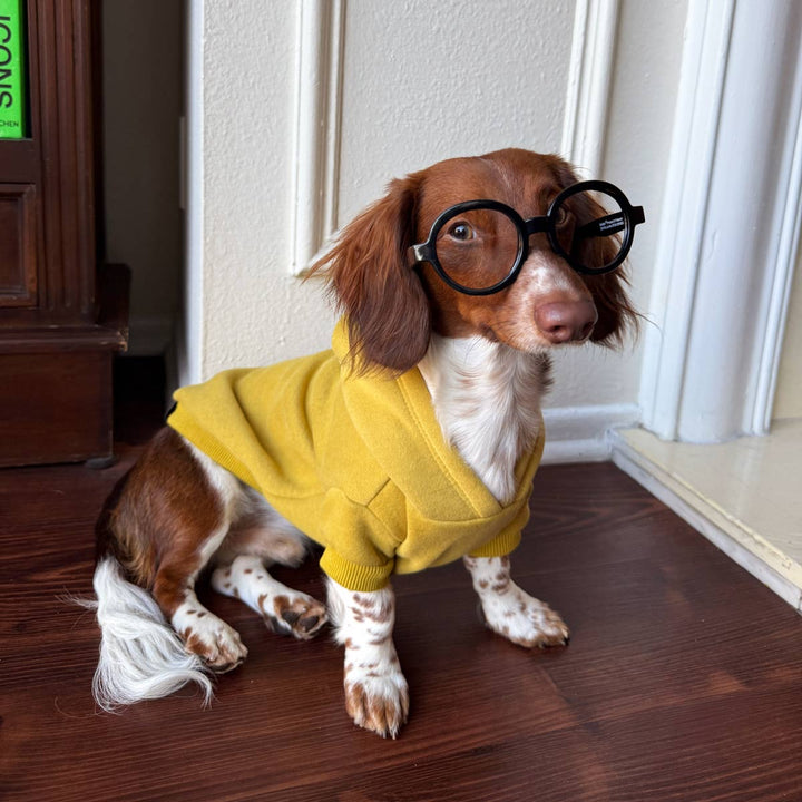 doxie hoodie | mustard - bean goods