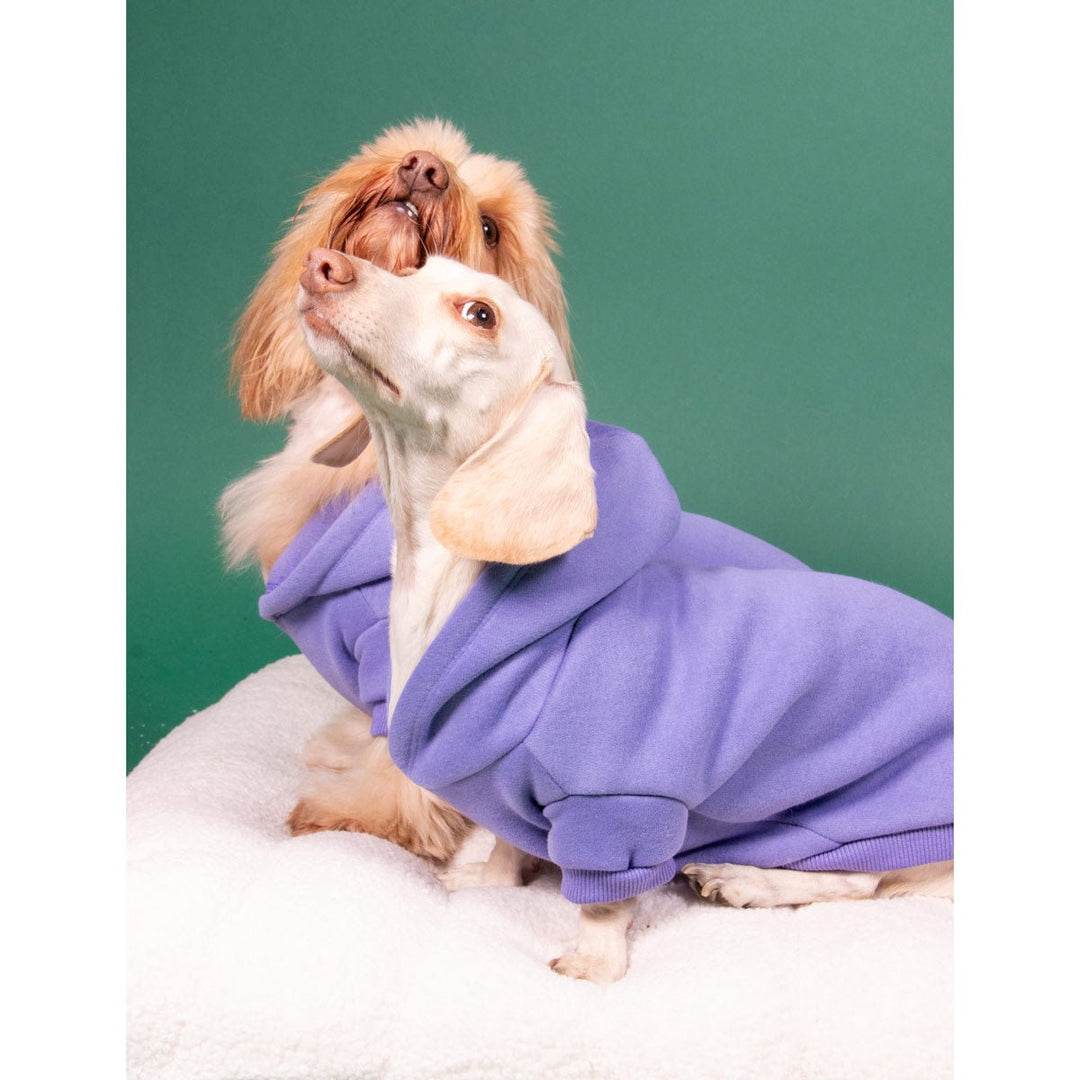 doxie hoodie | periwinkle - bean goods