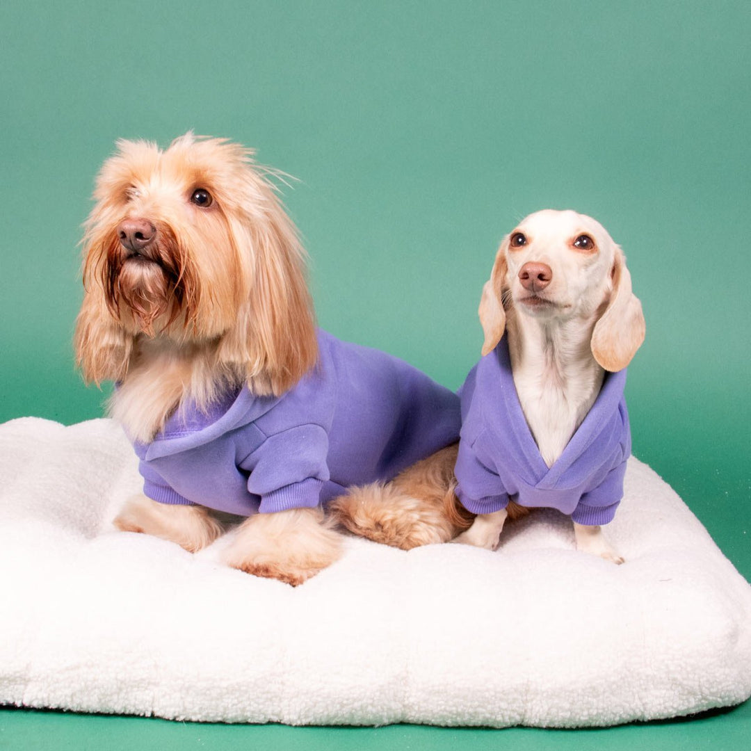 doxie hoodie | periwinkle - bean goods