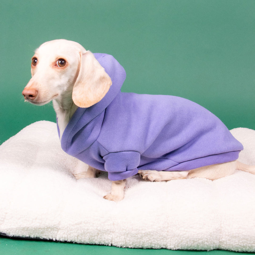 doxie hoodie | periwinkle - bean goods