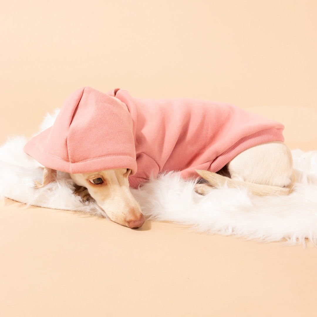 doxie hoodie | rose - bean goods