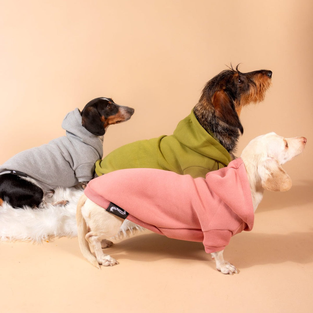 doxie hoodie | rose - bean goods