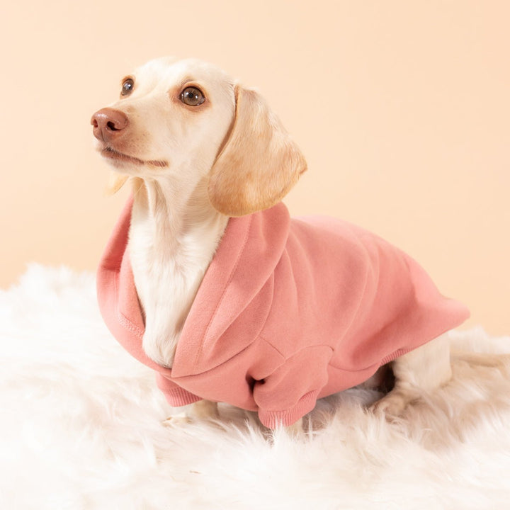 doxie hoodie | rose - bean goods