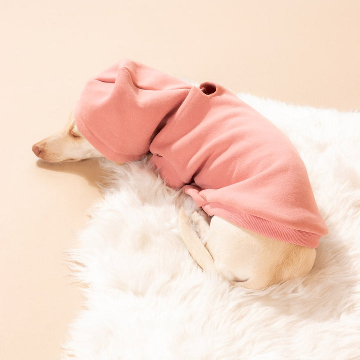 doxie hoodie | rose - bean goods