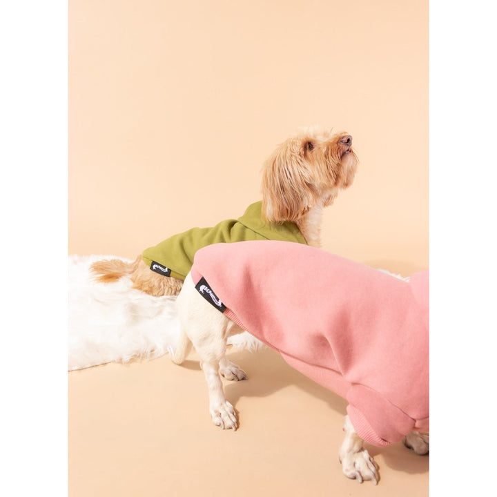 doxie hoodie | rose - bean goods