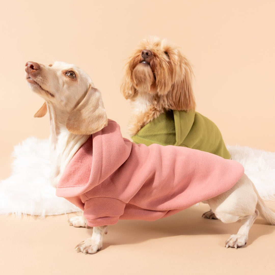 doxie hoodie | rose - bean goods