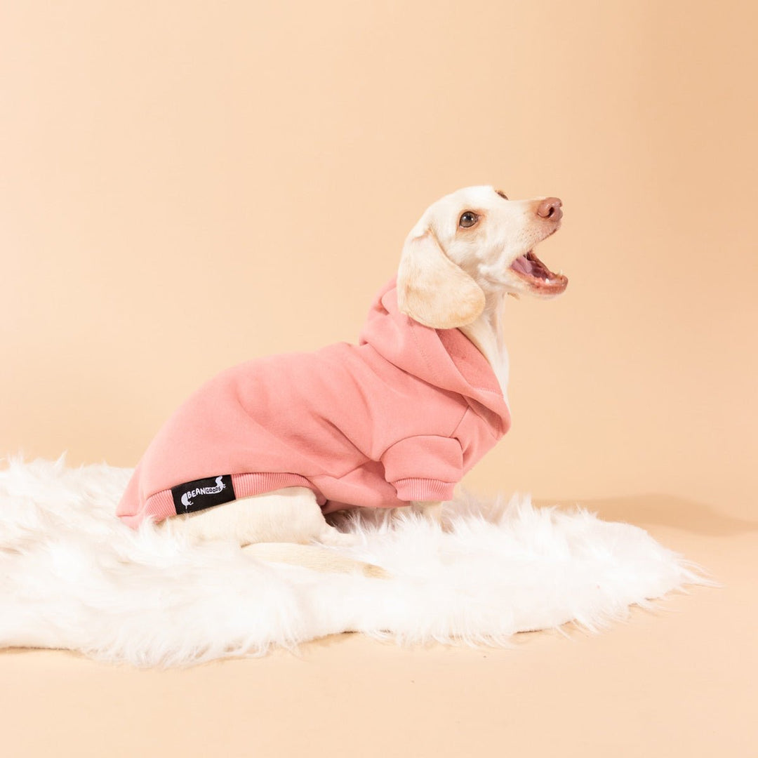 doxie hoodie | rose - bean goods