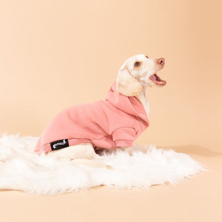 doxie hoodie | rose - bean goods