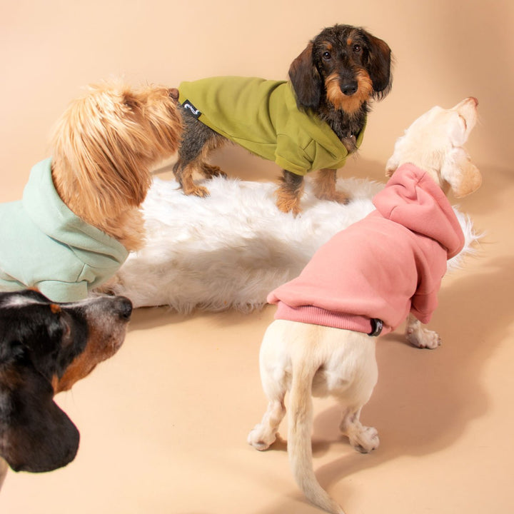 doxie hoodie | rose - bean goods