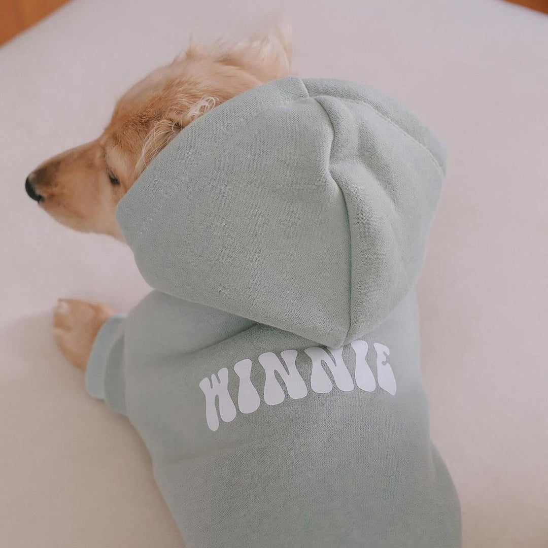 doxie hoodie | sage - bean goods