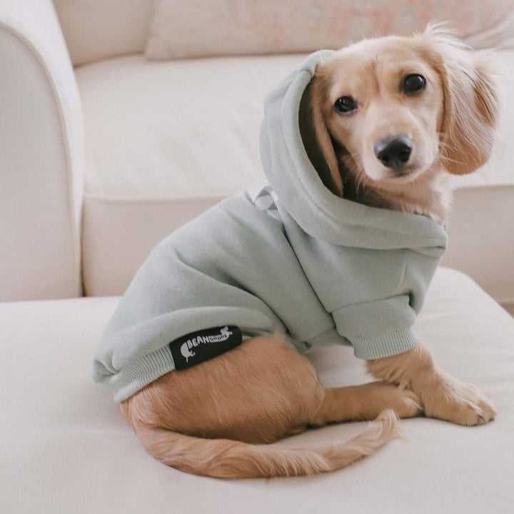 doxie hoodie | sage - bean goods