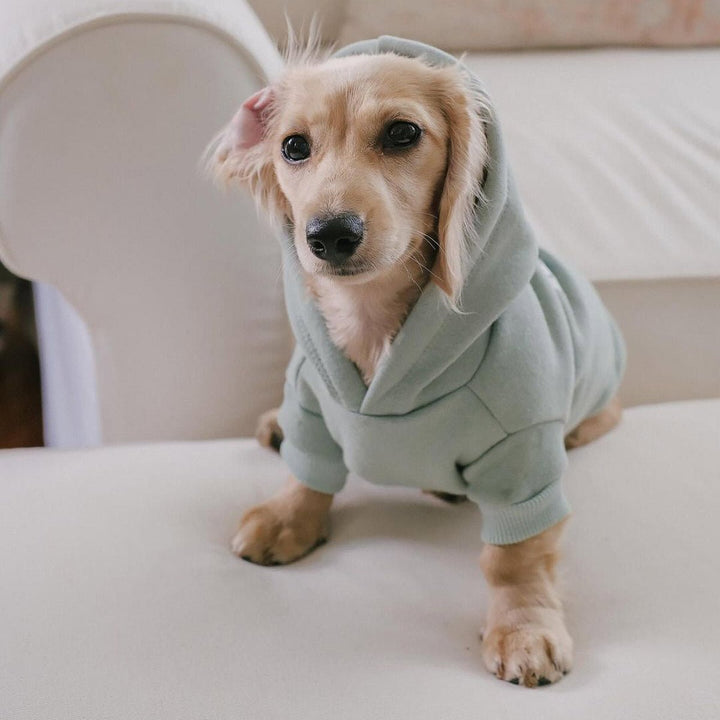 doxie hoodie | sage - bean goods