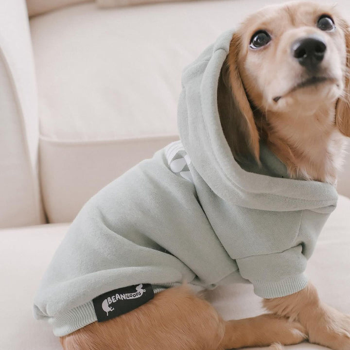 doxie hoodie | sage - bean goods