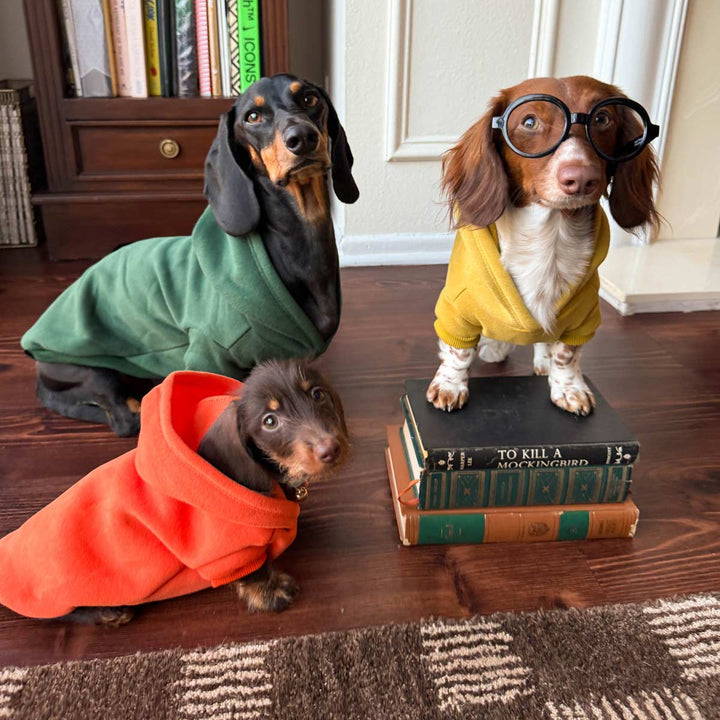 doxie hoodie | spruce - bean goods