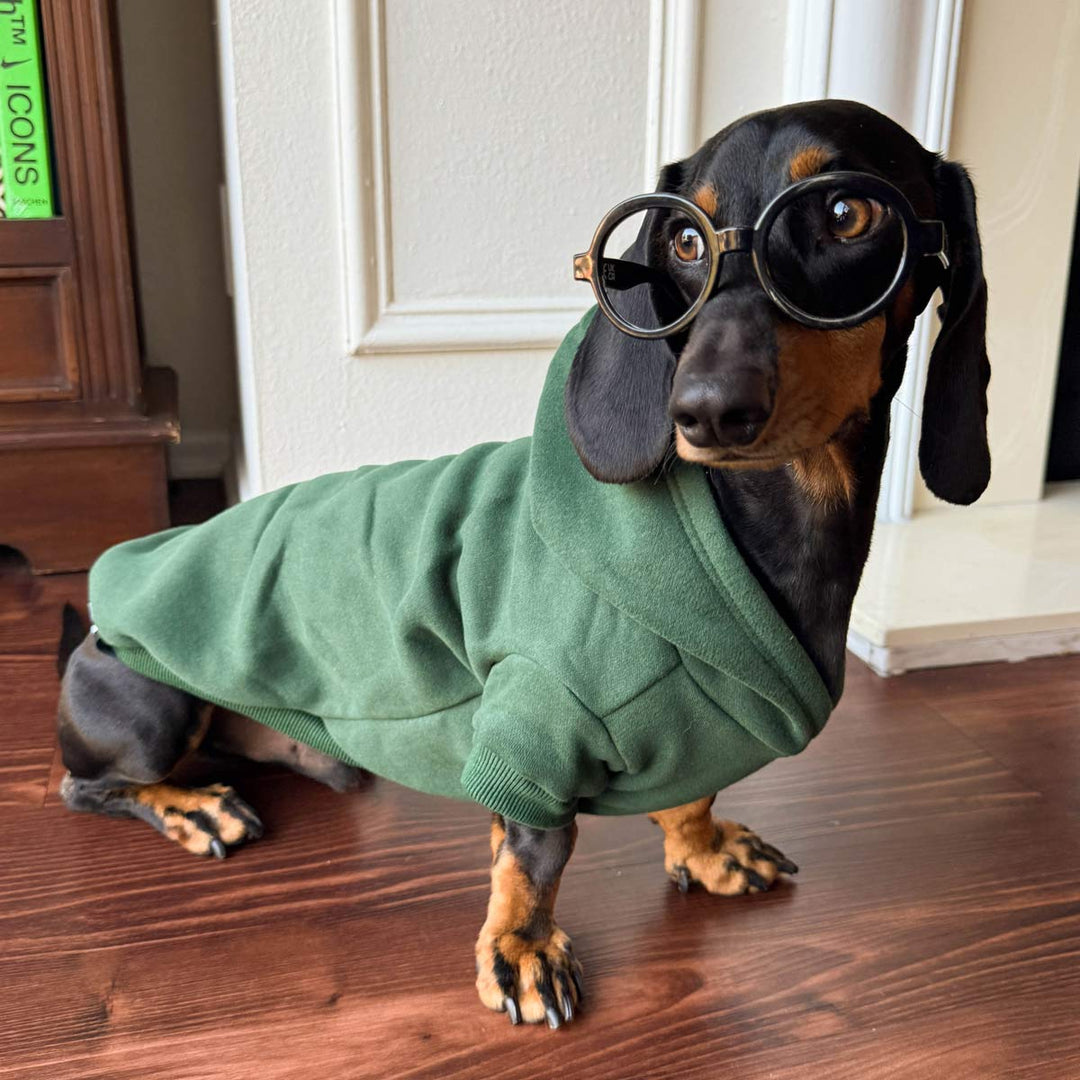 doxie hoodie | spruce - bean goods