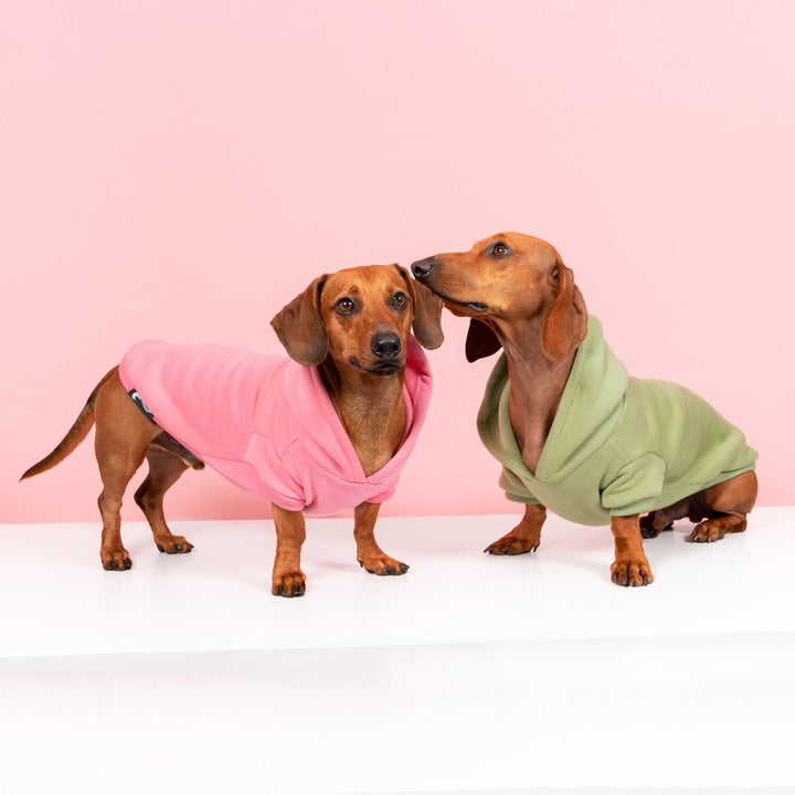 doxie hoodie | ween pink - bean goods