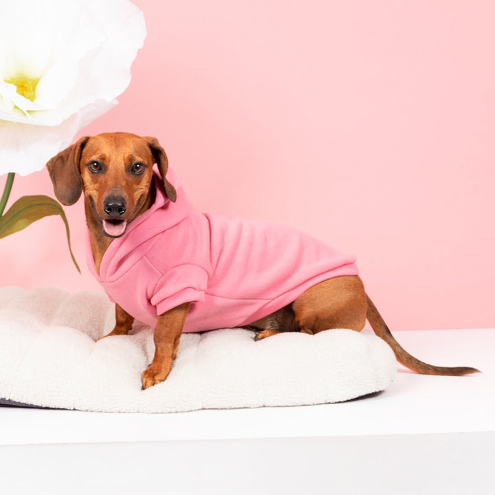doxie hoodie | ween pink - bean goods