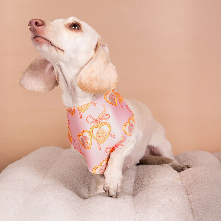 doxie locket bandana - bean goods