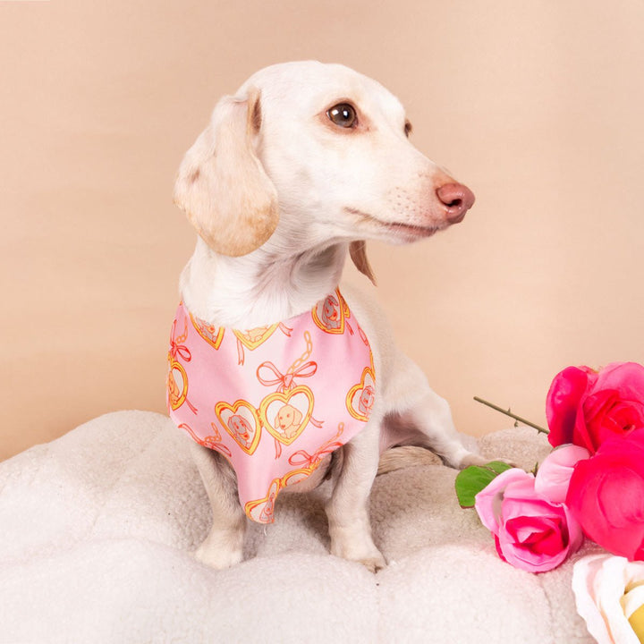 doxie locket bandana - bean goods