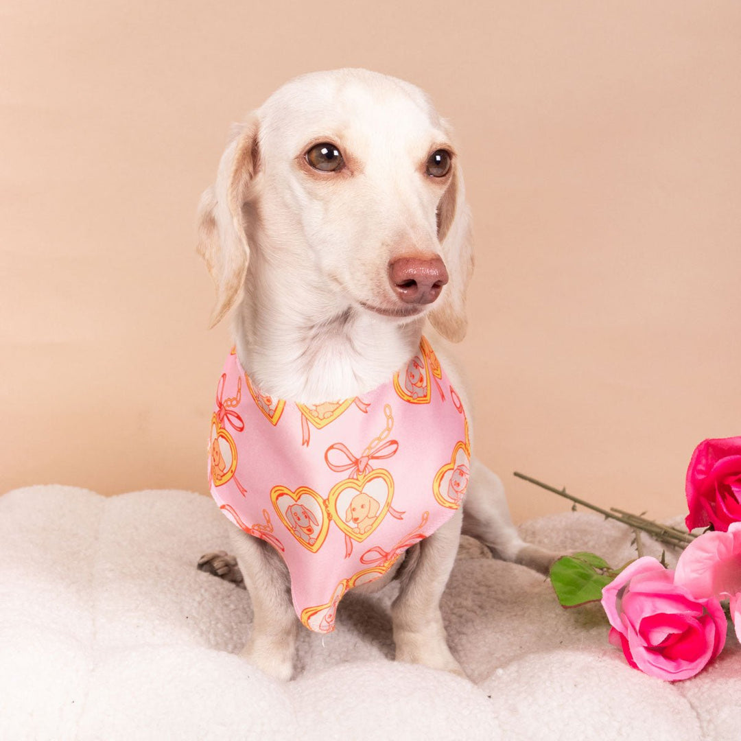 doxie locket bandana - bean goods