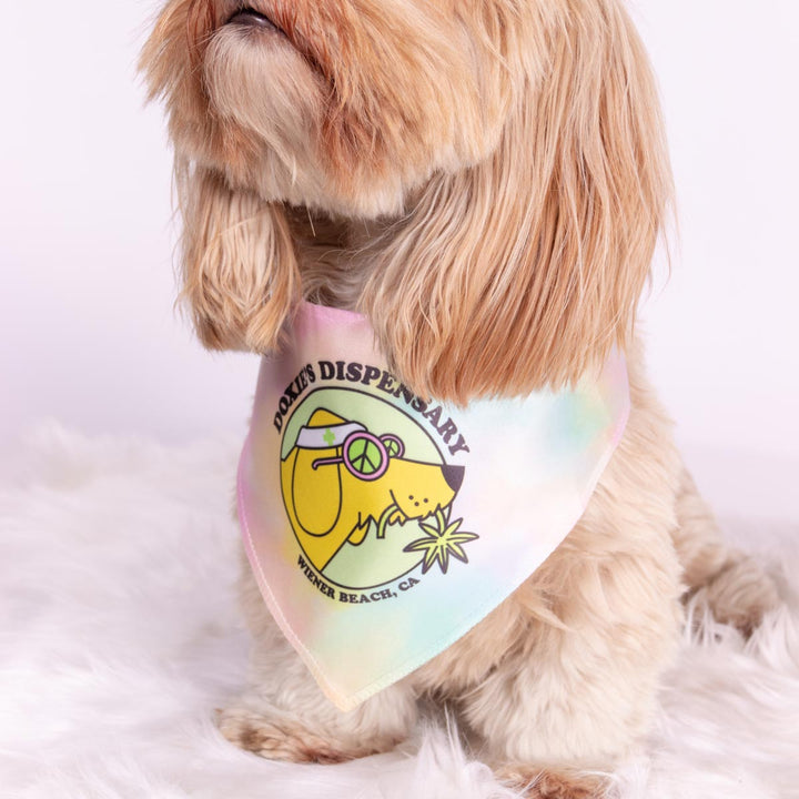 doxie’s dispensary dog bandana - bean goods