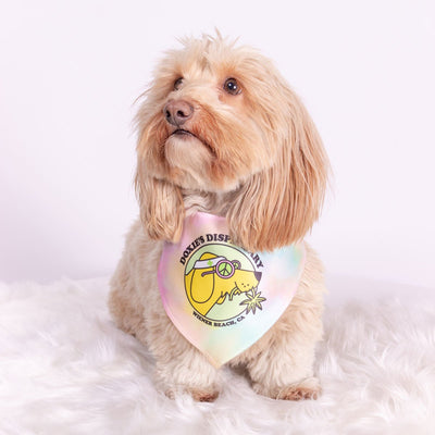 doxie’s dispensary dog bandana - bean goods
