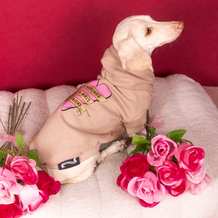 girl’s best friend doxie hoodie - bean goods