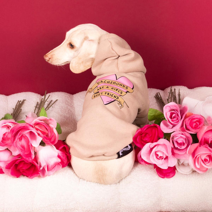 girl’s best friend doxie hoodie - bean goods