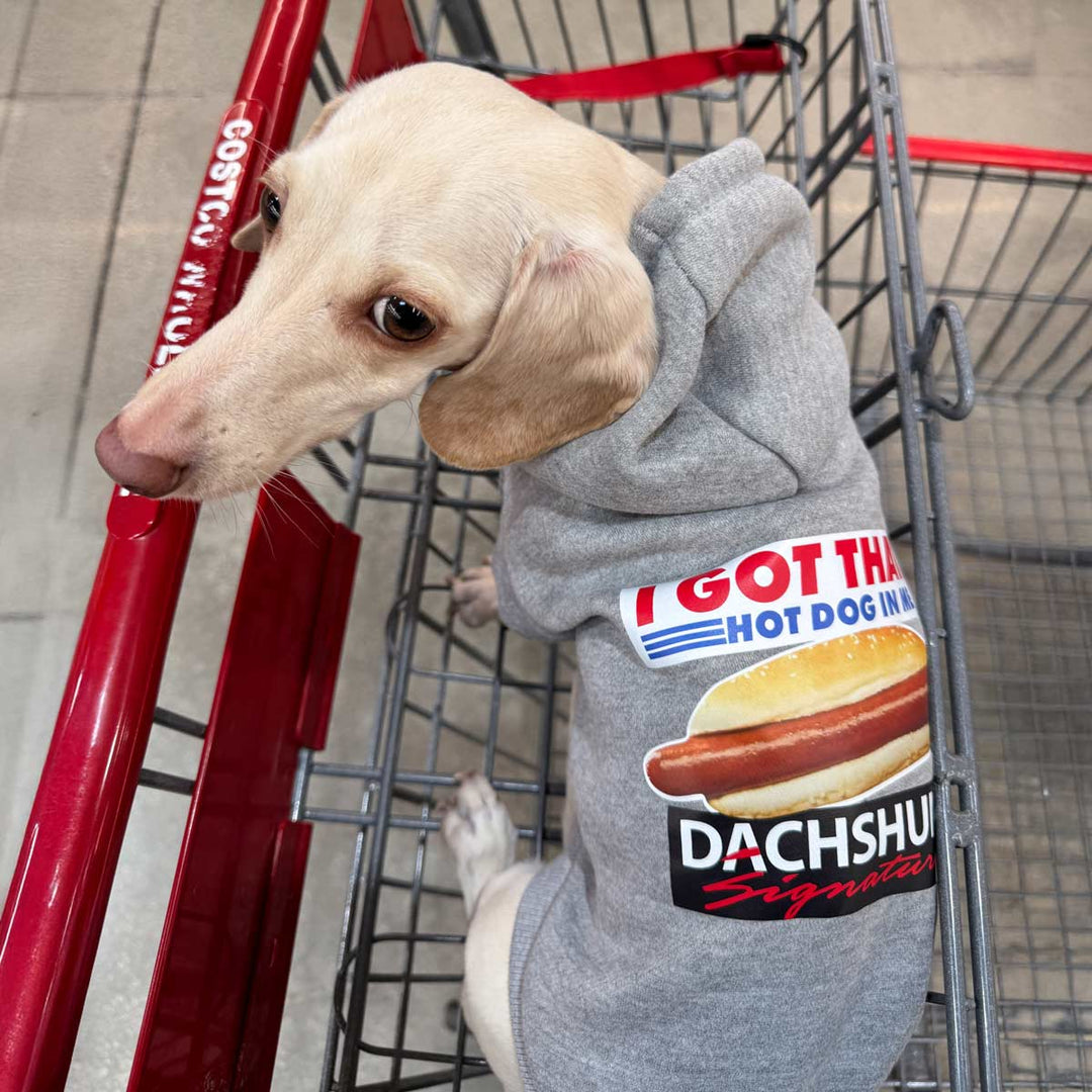 got that dog in me doxie hoodie | heather grey - bean goods