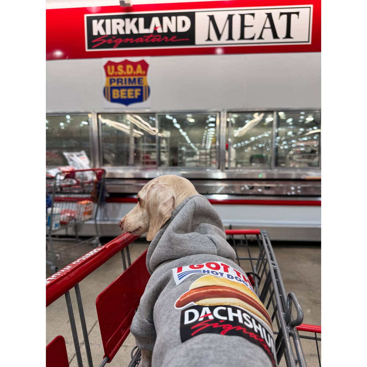トコパシフィック  ポテトスウェット GODSPEED NEW YORK - OG Logo Sweatsuit Stitched (Mocha)