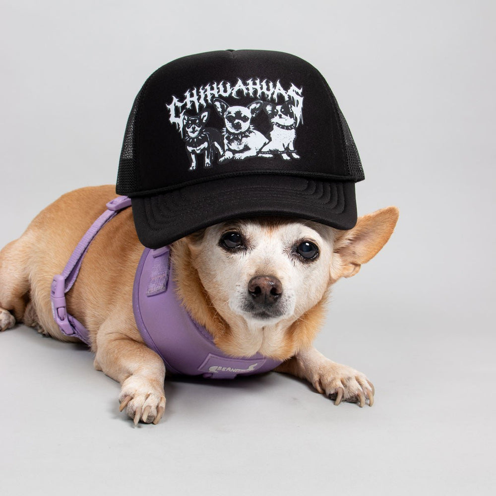 heavy metal hounds trucker hat | chihuahua - bean goods