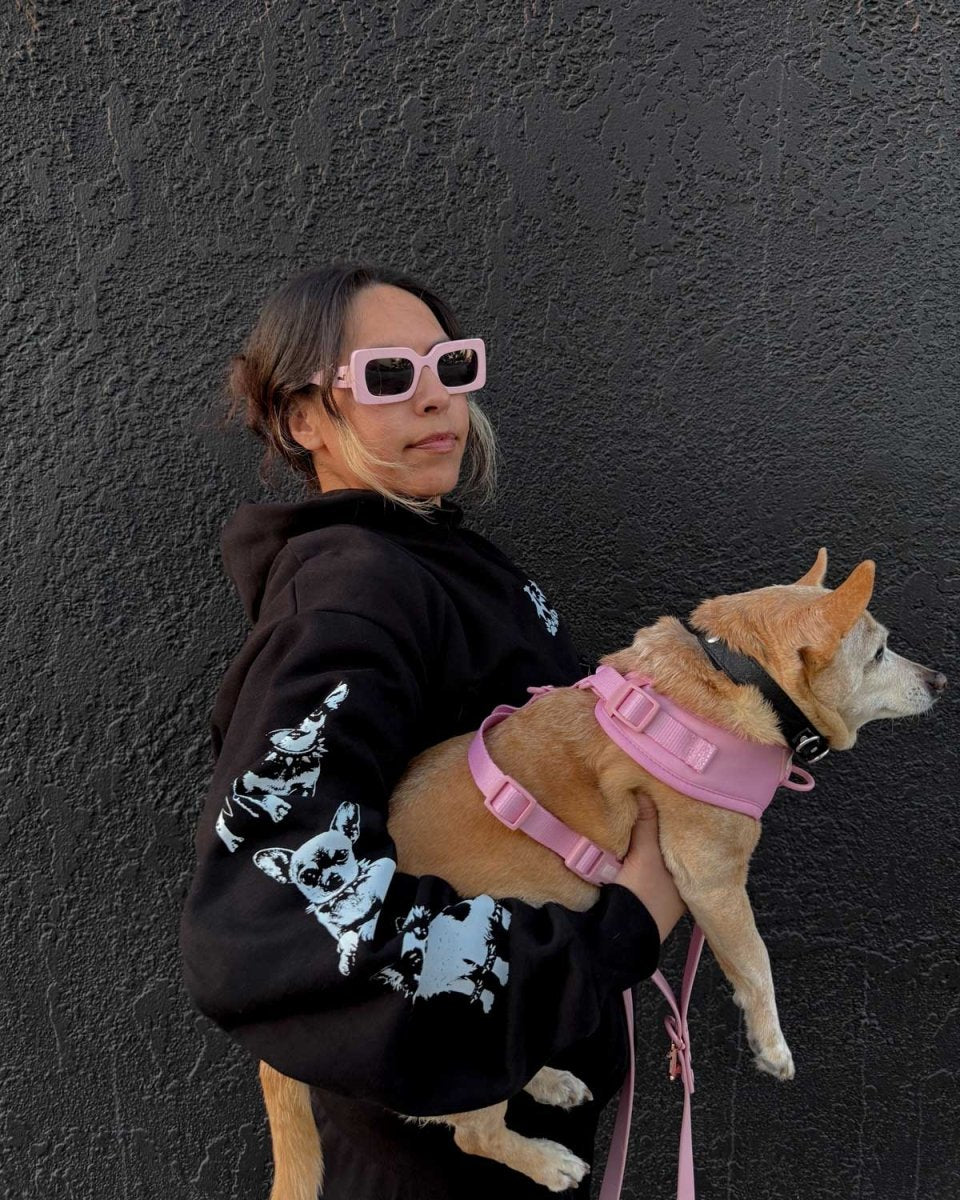 heavy metal hounds unisex hoodie | chihuahua | midnight - bean goods