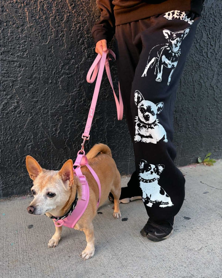 heavy metal hounds unisex scrunch sweatpants | chihuahua - bean goods