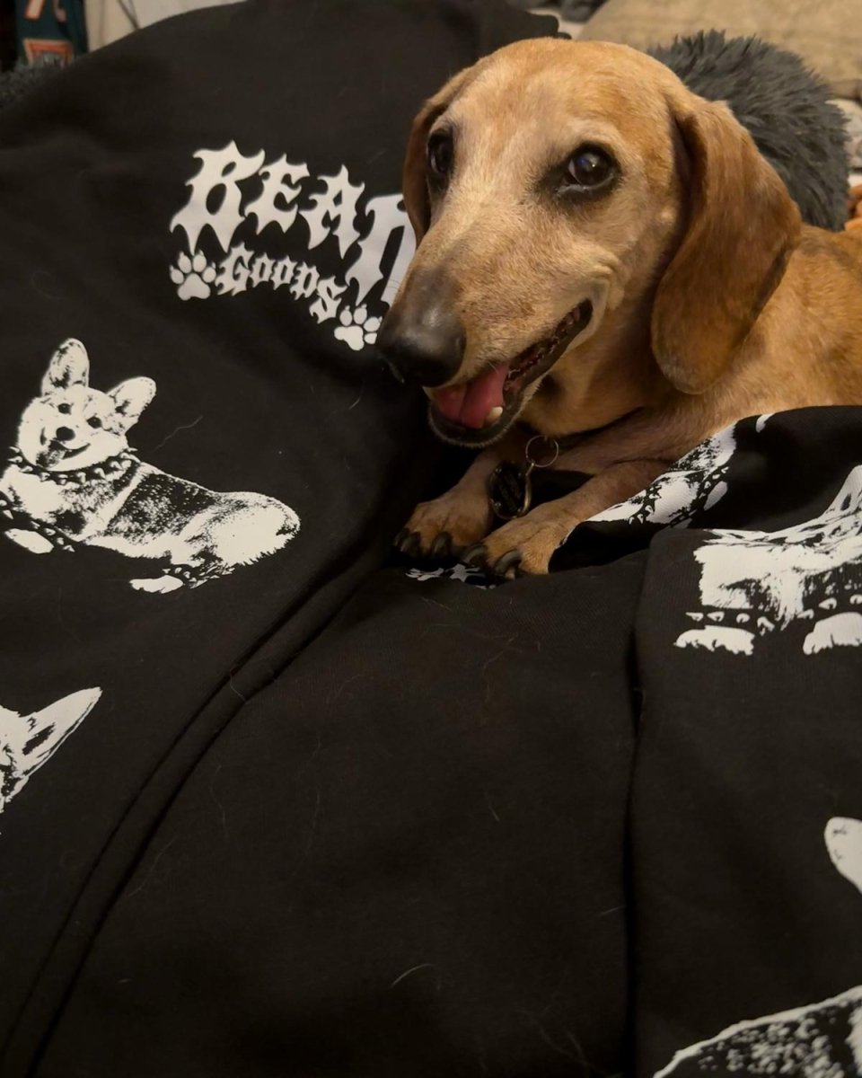 heavy metal hounds unisex scrunch sweatpants | corgi - bean goods
