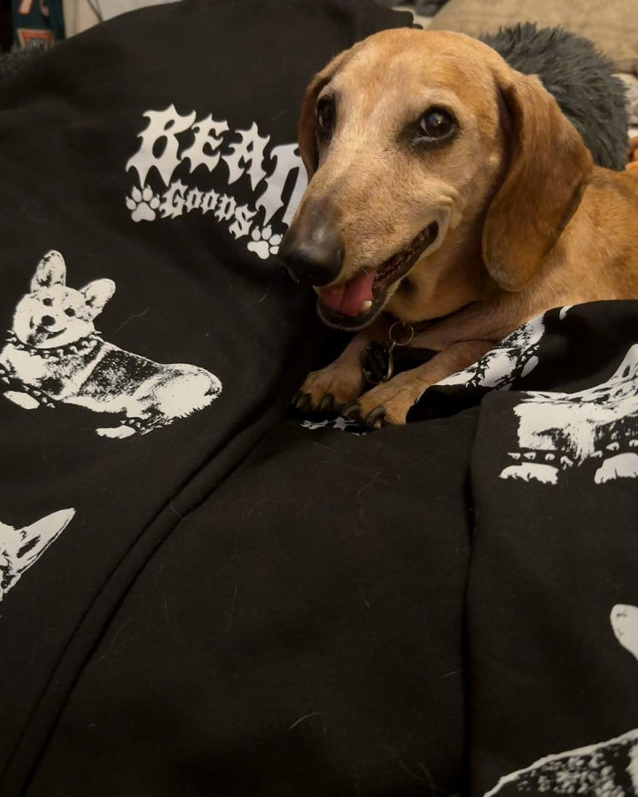 heavy metal hounds unisex scrunch sweatpants | corgi - bean goods