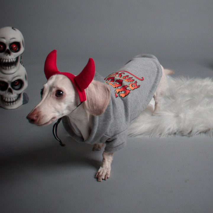 hell raiser doxie hoodie - bean goods