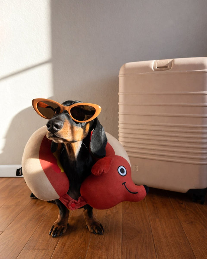 hot dog travel pillow - bean goods