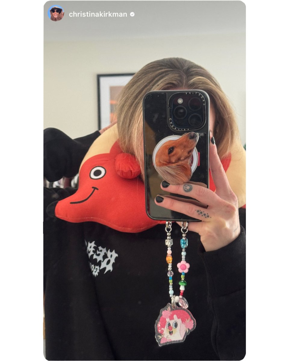 hot dog travel pillow - bean goods