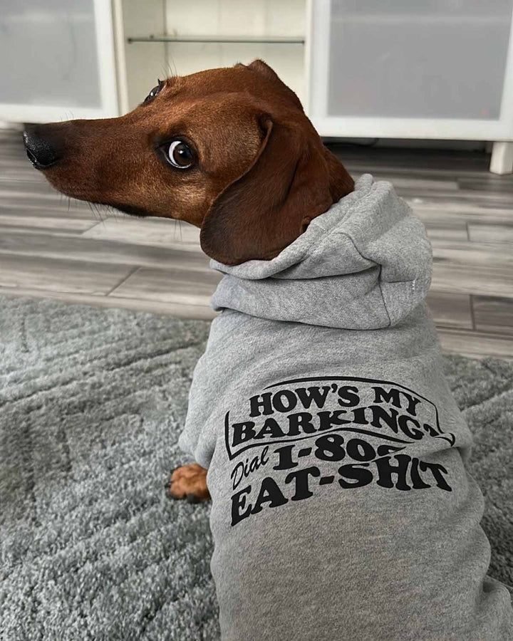 how’s my barking doxie hoodie - bean goods