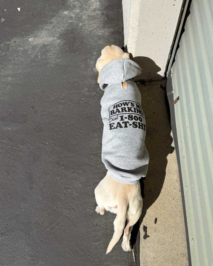 how’s my barking doxie hoodie - bean goods