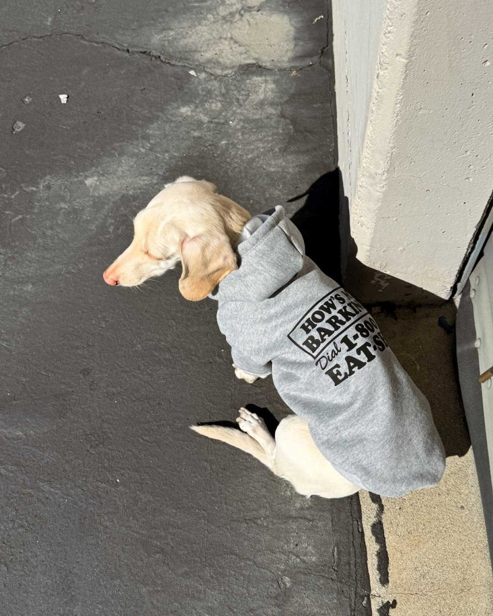how’s my barking doxie hoodie - bean goods