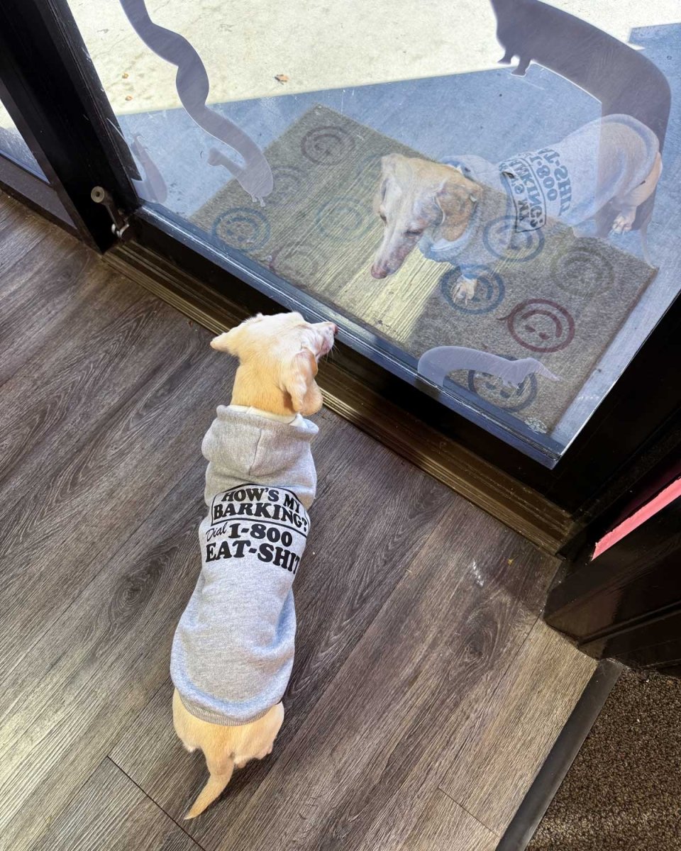 how’s my barking doxie hoodie - bean goods