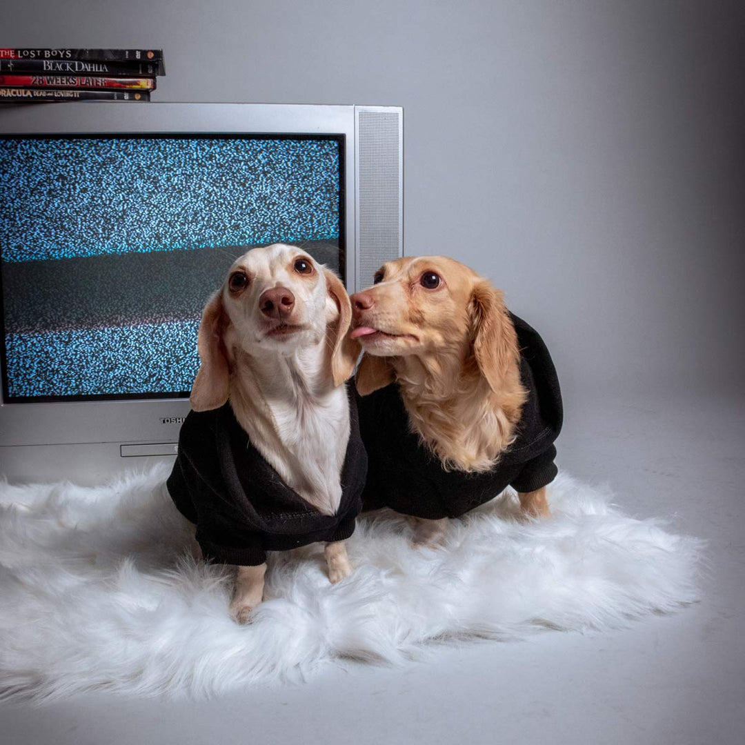 jason the ween doxie hoodie - bean goods