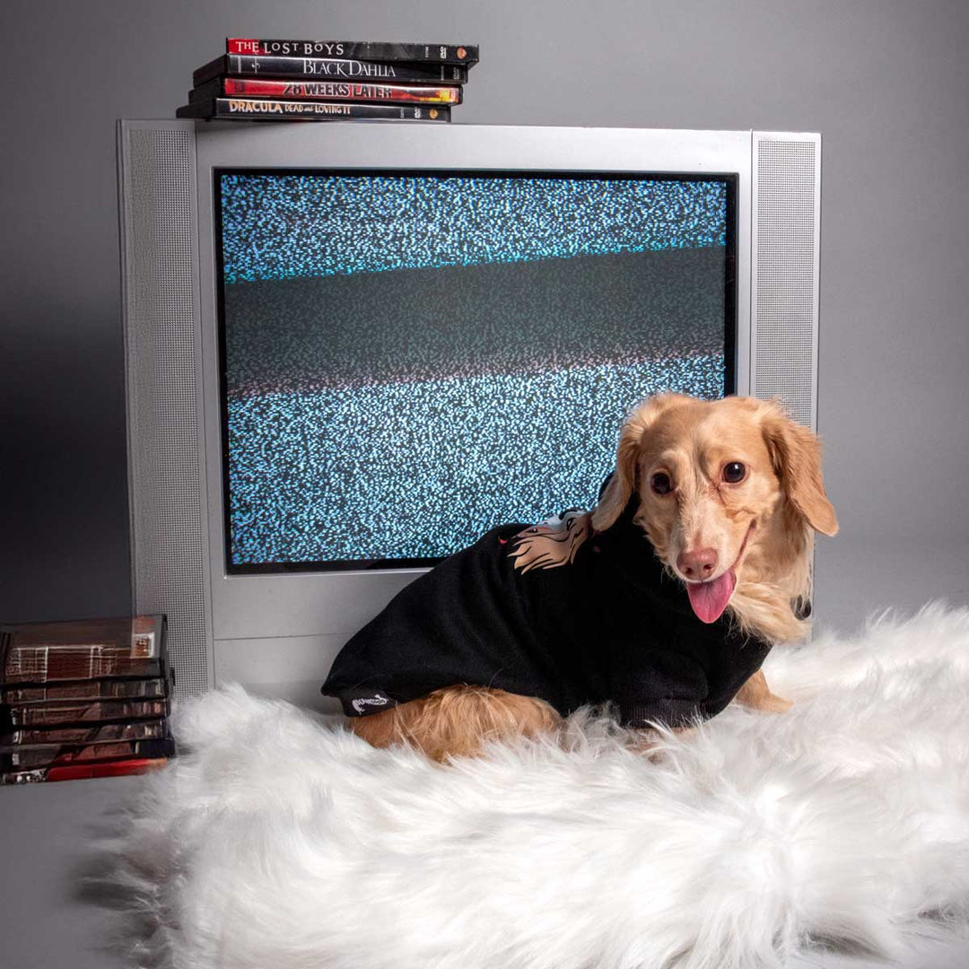 jason the ween doxie hoodie - bean goods