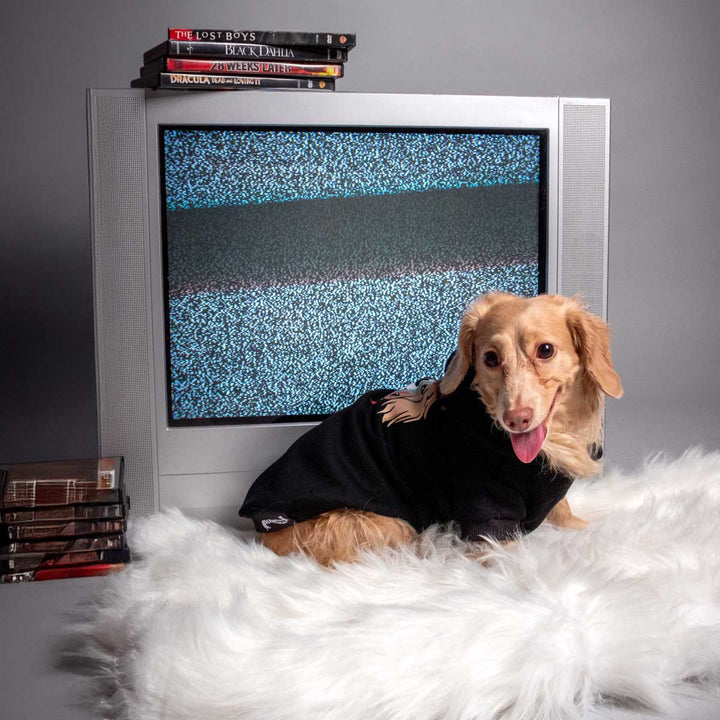 jason the ween doxie hoodie - bean goods