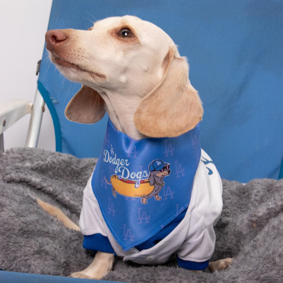 Dog Collar Dodger Dog Sweater Dodger Dog Sweater 2025