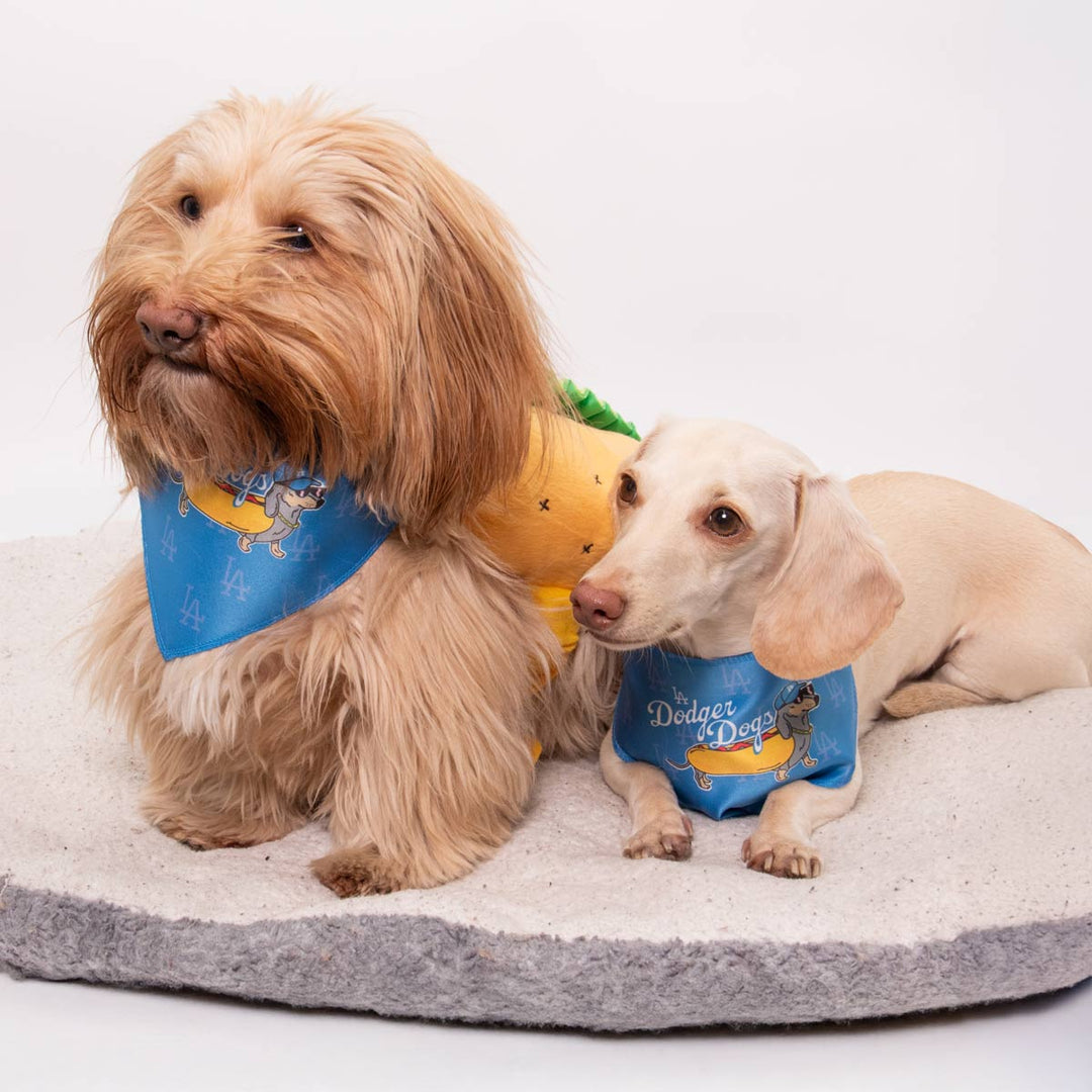 LA dodger dogs bandana - bean goods