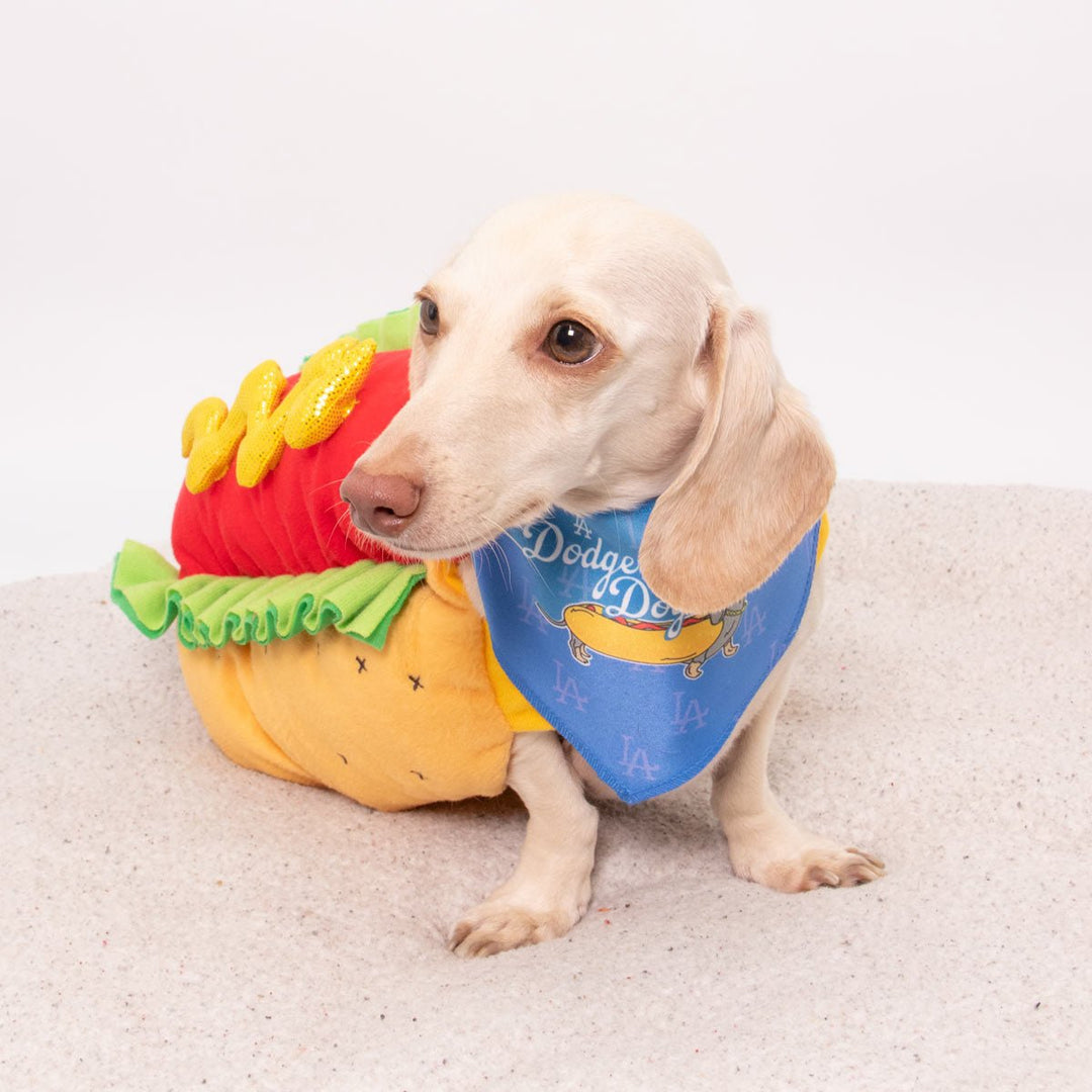 LA dodger dogs bandana - bean goods